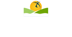 The Hendrickson Chiropractic and Wellness Center website white logo